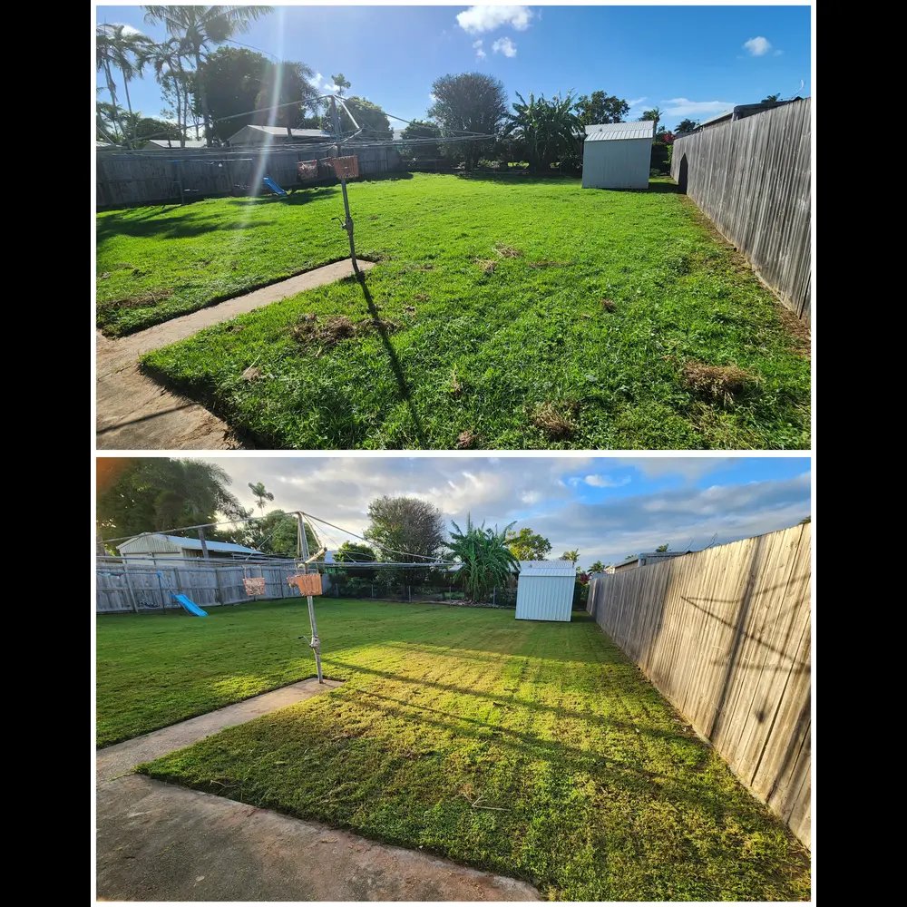 Lawn Mowing
